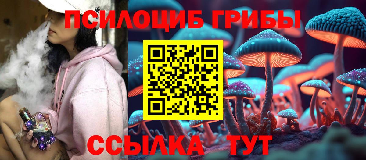 Галлюциногенные грибы прущие грибы Амурск